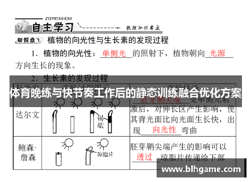 体育晚练与快节奏工作后的静态训练融合优化方案